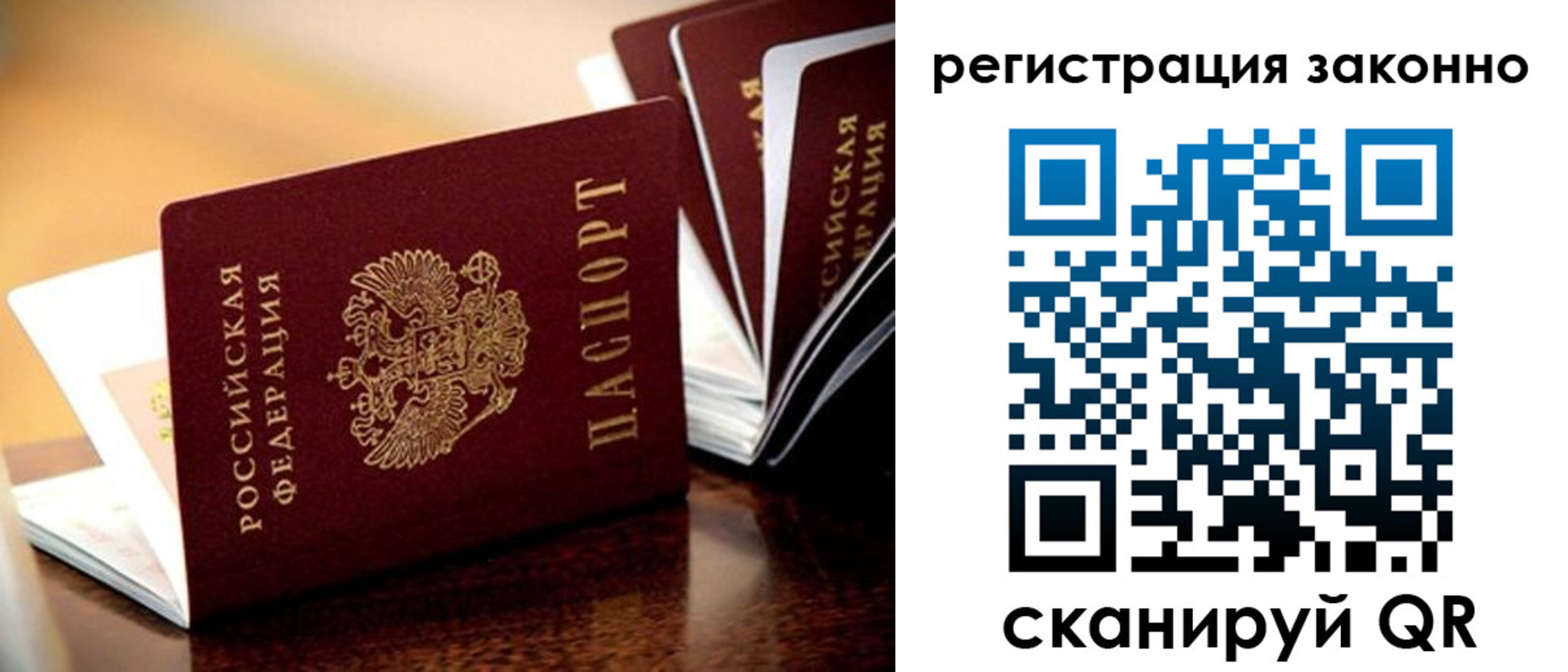 прописка для школы в Ермолино